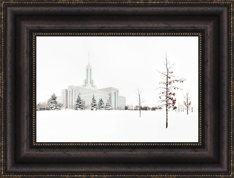 Mt Timpanogos Temple - Snow Red Leaves