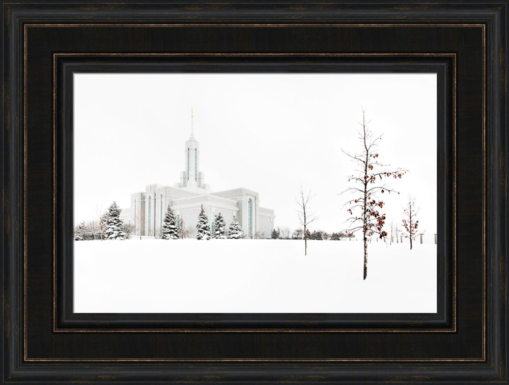 Mt Timpanogos Temple - Snow Red Leaves