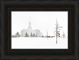 Mt Timpanogos Temple - Snow Red Leaves