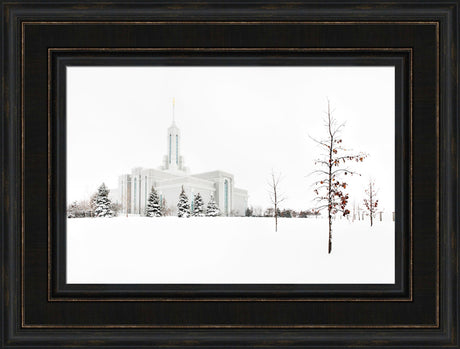 Mt Timpanogos Temple - Snow Red Leaves