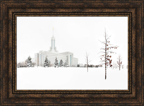 Mt Timpanogos Temple - Snow Red Leaves