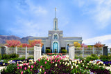 Mt Timpanogos Temple - Spring Tulips