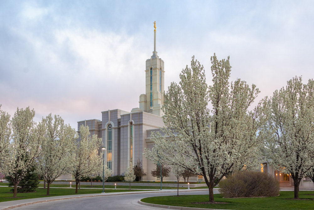 Mt Timpanogos Temple - Spring Blossoms