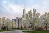 Mt Timpanogos Temple - Spring Blossoms