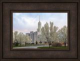 Mt Timpanogos Temple - Spring Blossoms