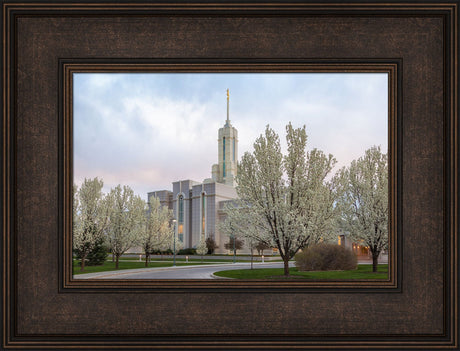 Mt Timpanogos Temple - Spring Blossoms