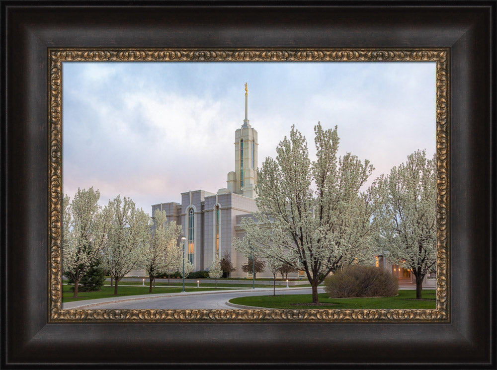 Mt Timpanogos Temple - Spring Blossoms