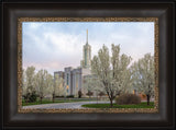 Mt Timpanogos Temple - Spring Blossoms