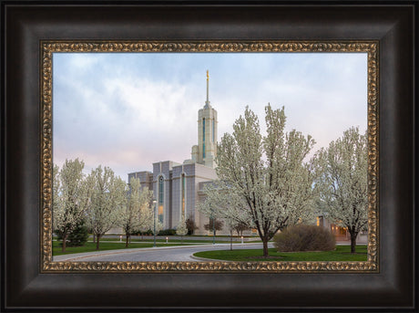 Mt Timpanogos Temple - Spring Blossoms