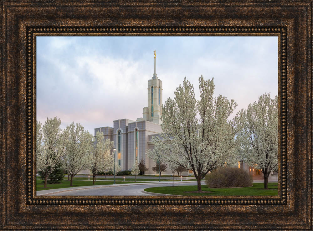 Mt Timpanogos Temple - Spring Blossoms