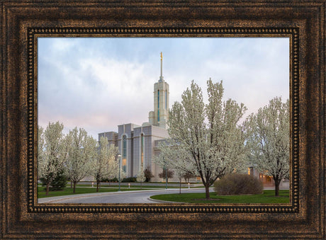 Mt Timpanogos Temple - Spring Blossoms