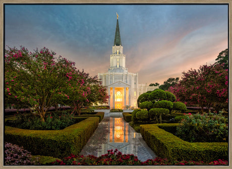 Houston Temple - Covenant Path Series by Robert A Boyd