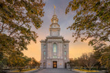 Philadelphia Temple - Through the Trees by Robert A Boyd