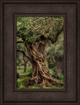 Gethsemane