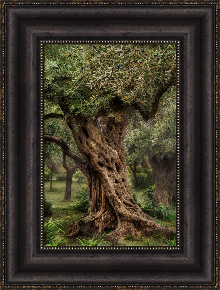 Gethsemane