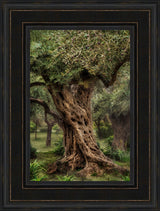 Gethsemane