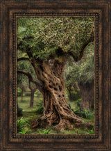 Gethsemane