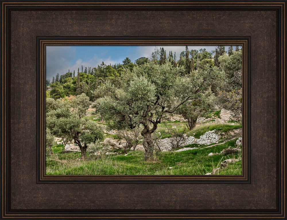 Mount of Olives