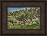 Mount of Olives