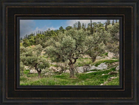 Mount of Olives
