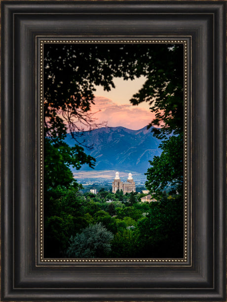 Logan Temple - Framed by Trees