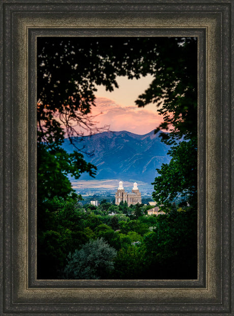 Logan Temple - Framed by Trees
