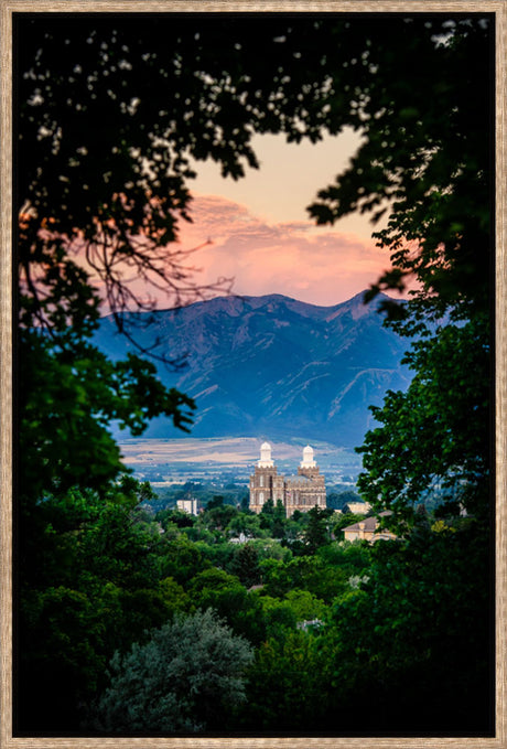 Logan Temple - Framed by Trees