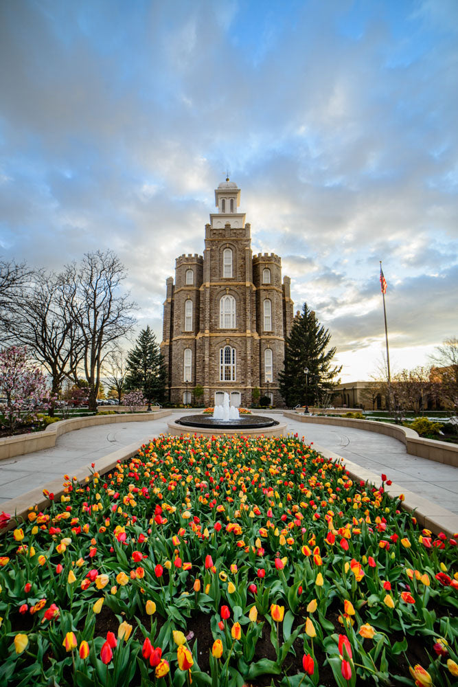 Logan Temple - Tulips