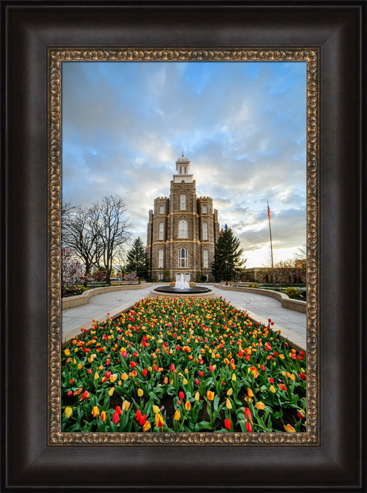 Logan Temple - Tulips