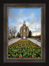 Logan Temple - Tulips