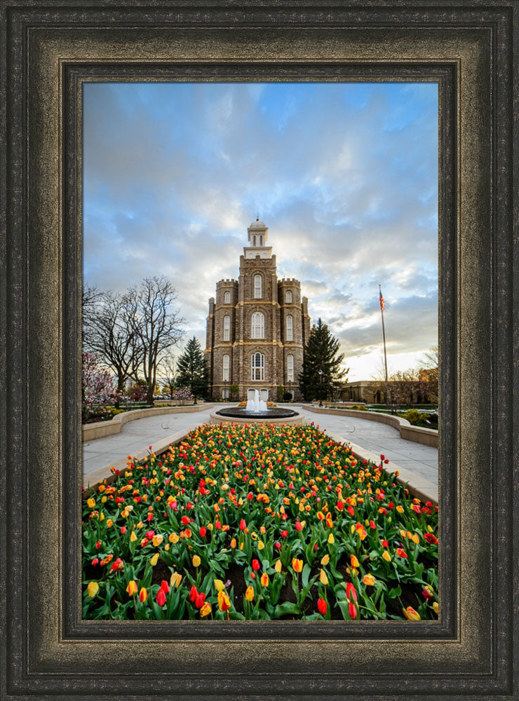 Logan Temple - Tulips