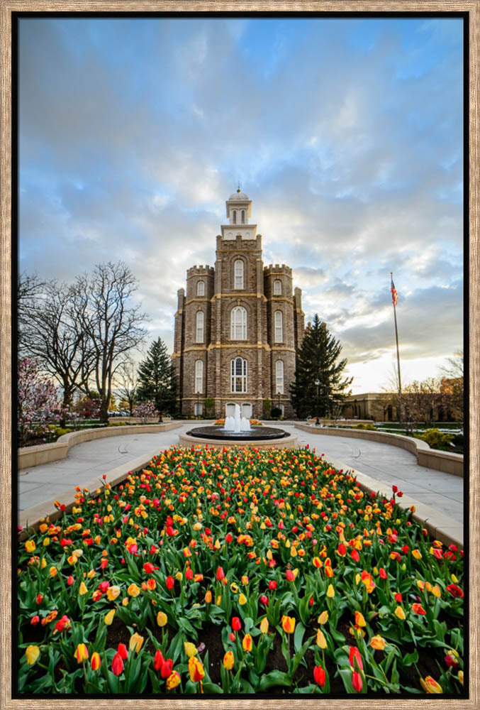 Logan Temple - Tulips