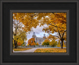 Logan Temple - Tunnel of Fall