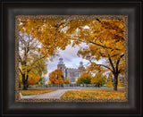 Logan Temple - Tunnel of Fall