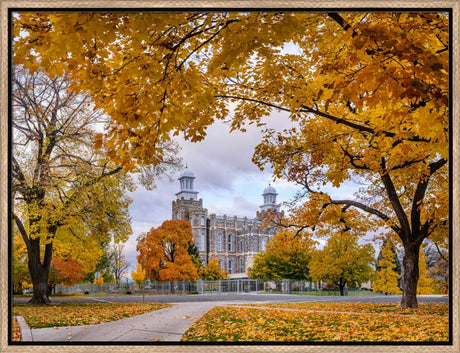 Logan Temple - Tunnel of Fall