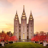 Salt Lake Temple - Christmas