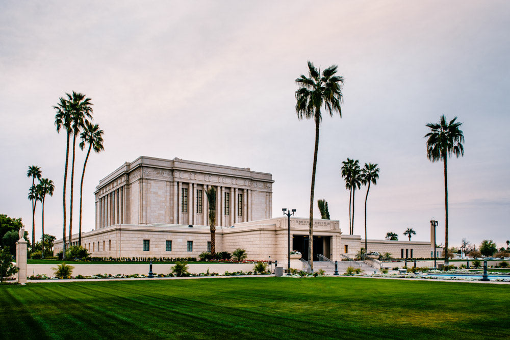 Mesa Temple - Palm Trees