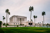 Mesa Temple - Palm Trees