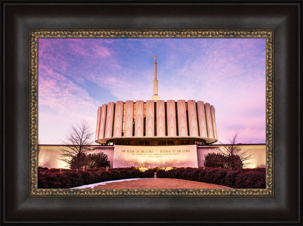 Provo Temple - From the Back