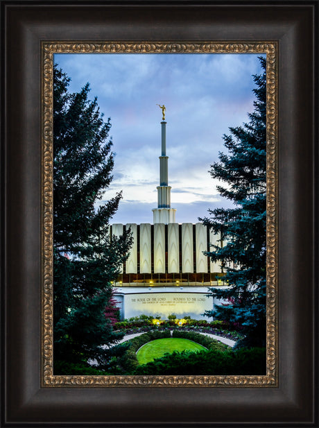 Provo Temple - Between the Trees
