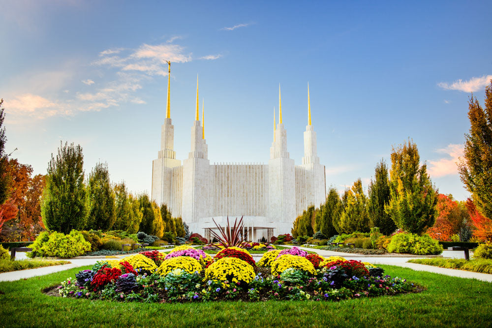 Washington DC Temple - Flowers