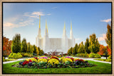 Washington DC Temple - Flowers
