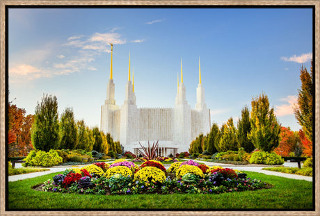 Washington DC Temple - Flowers