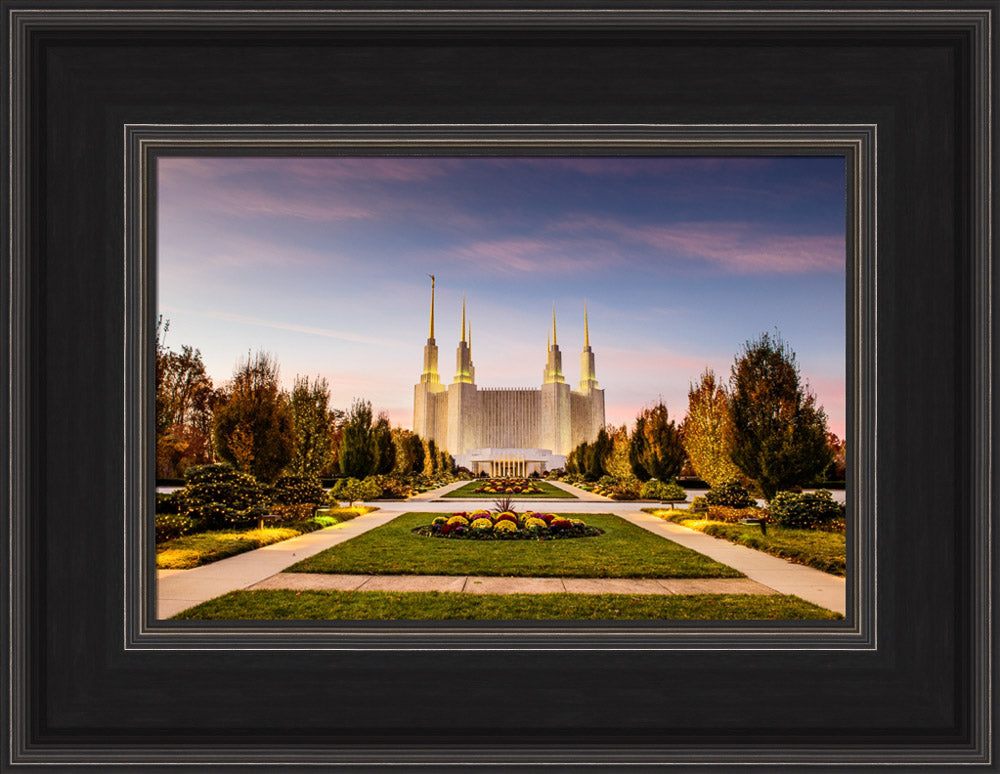 Washington DC Temple - Yellow Christmas Lights