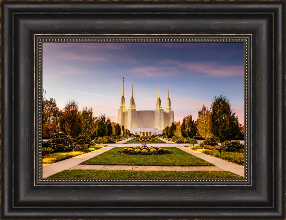 Washington DC Temple - Yellow Christmas Lights