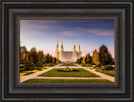 Washington DC Temple - Yellow Christmas Lights