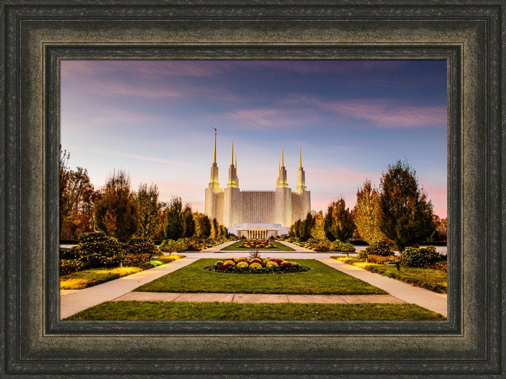 Washington DC Temple - Yellow Christmas Lights