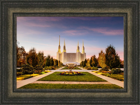 Washington DC Temple - Yellow Christmas Lights