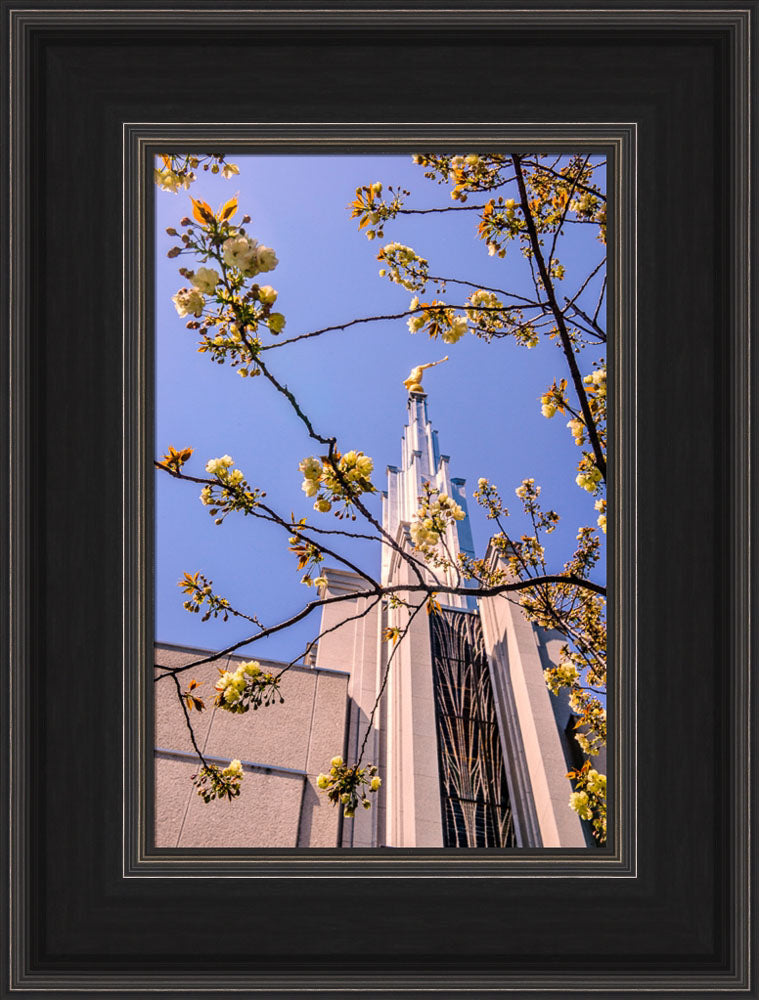 Tokyo Temple - Through the Trees