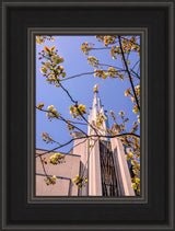 Tokyo Temple - Through the Trees